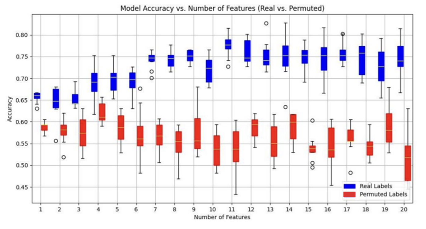 Real-label versus permuted-label accuracy