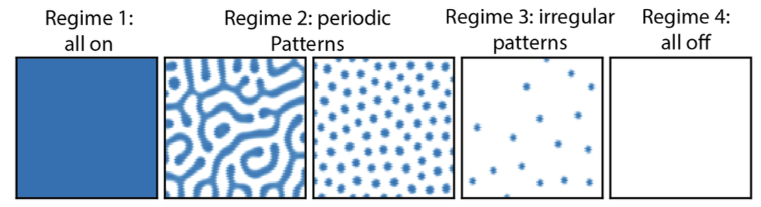 Periodic Turing pattern example (Swedland, 2026)